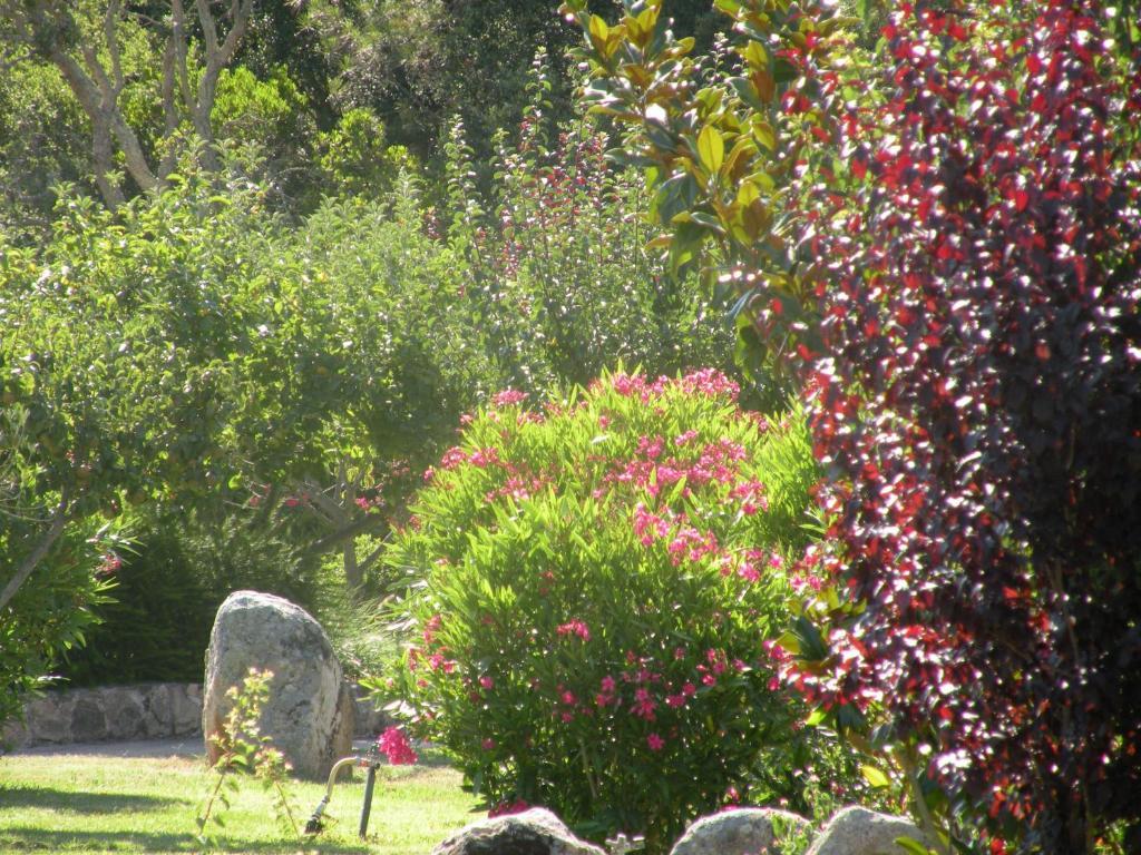 Hotel Les Jardins De Santa Giulia Porto-Vecchio  Exteriér fotografie
